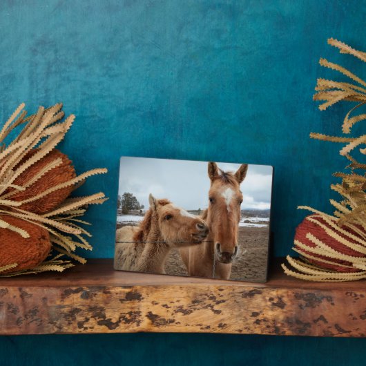 Moederpaarden en -dieren fotoplaat (Zijkant)