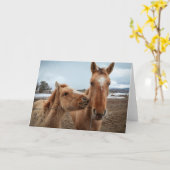 Moederpaarden en -dieren kaart (Gele Bloem)