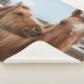 Moederpaarden en -dieren sherpa deken (3/4)