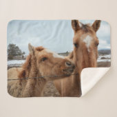 Moederpaarden en -dieren sherpa deken (Voorkant (horizontaal))
