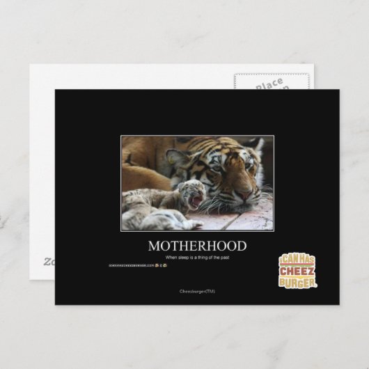 Moederschap Briefkaart (Voorkant / Achterkant)