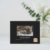 Moederschap Briefkaart (Staand voorkant)