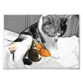 Moederschap Foto Afdruk