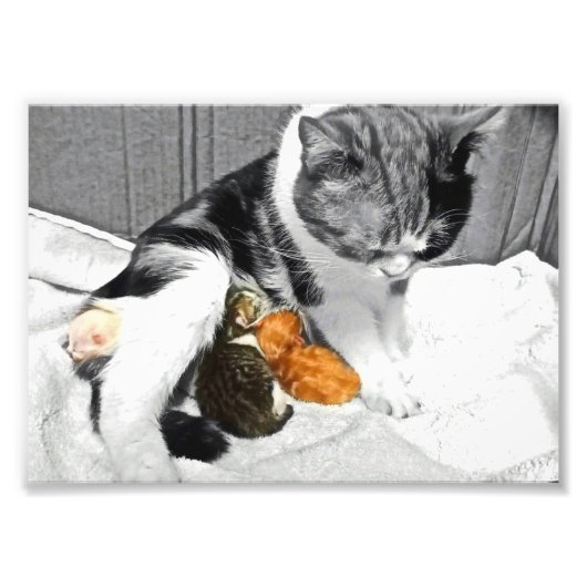 Moederschap Foto Afdruk (Voorkant)