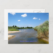 Moederstrand, Bellport NY Briefkaart (Voorkant / Achterkant)