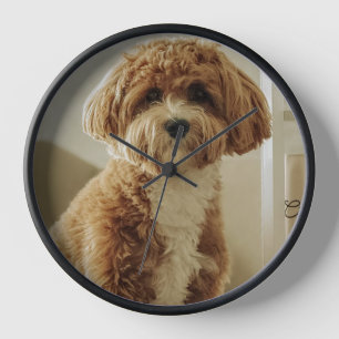 Moeie hond klok
