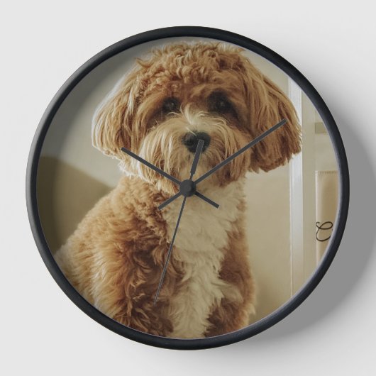 Moeie hond klok (Voorkant)