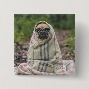 Moeie hond knop 2 vierkante button 5,1 cm