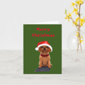 Moeie Hond met Kerstmuts  Kaart (Gele Bloem)