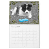 Moeie Hond Puppy Naar Volwassenheid Kerstmis Kalender (Feb 2027)