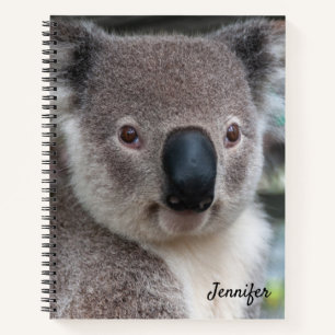 Moeie Koala Beer Spiraal Notebook Notitieboek