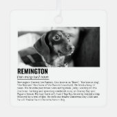 Moeie Persoonlijke Huisdier Metalen Ornament (Voorkant)