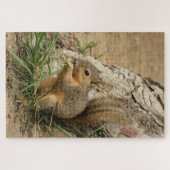 Moeilijke eekhoorn Puzzle Legpuzzel (Horizontaal)