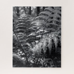 Moeilijke monochrome Natuur fotografie Legpuzzel