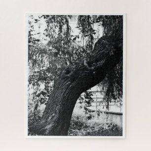 Moeilijke monochrome Natuur fotografie Legpuzzel
