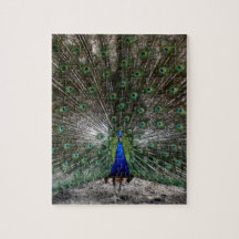 Moeilijke puzzels, geschenken voor vredeveren, puz