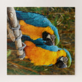 Moeilijke unieke Macaw Bird Puzzle Legpuzzel (Horizontaal)