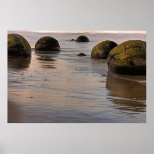 Moeraki Boulder Keien op Strand Poster