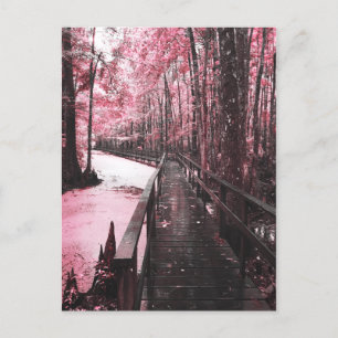 moeras droambe briefkaart