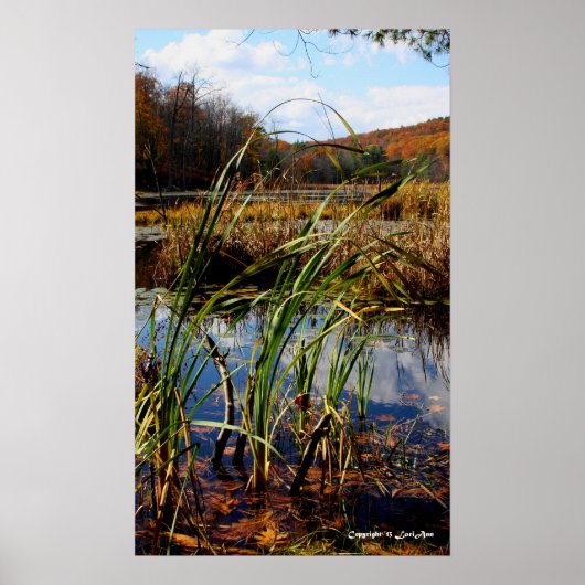 Moeras Grass Poster (Voorkant)