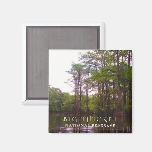 Moeras met kale cipressen, Big Thicket National Pr Magneet
