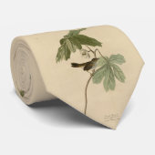 Moerasmest uit de Amerikaanse vogels van Audubon Stropdas (Opgerold)