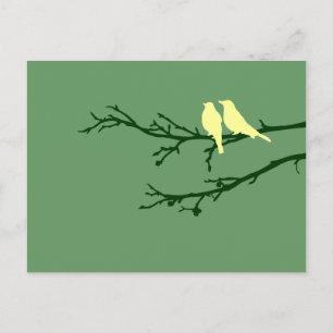 moerasvogels briefkaart