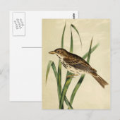  moeraszool briefkaart (Voorkant / Achterkant)