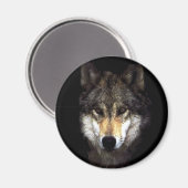 moerwolf magneet (Voorkant / Achterkant)
