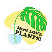 Moet houden van Planten Monstera