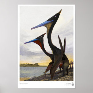 Moganopterus bij het strand poster