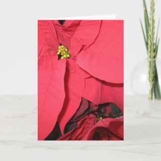 Moge de Heilige Engelen Kaart