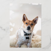 Moge Uw Dagen Vrolijk en Helder Kerstmisontwerp zi Folie Feestdagenkaart (Achterkant)