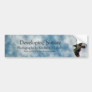 Mogelijkheden Bumpersticker