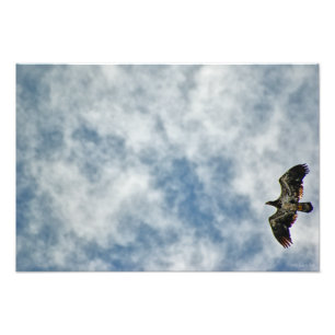 Mogelijkheden Foto Afdruk