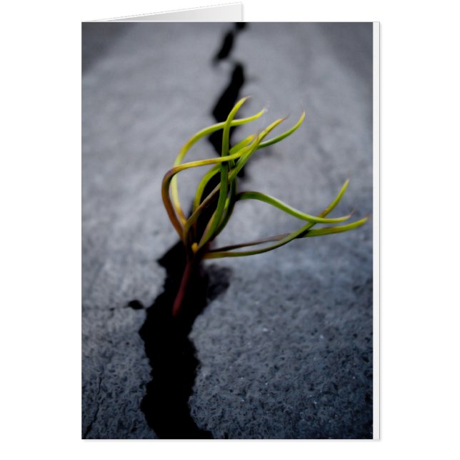 Mogelijkheid (Voorkant)