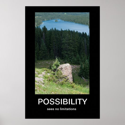 Mogelijkheid Demotivationeel Poster (Voorkant)