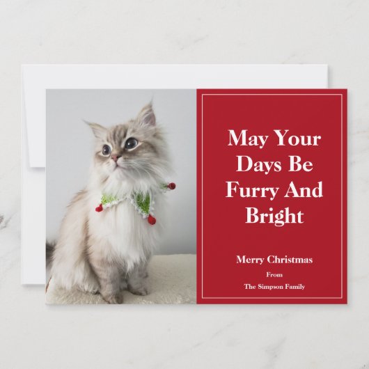 Mogen je dagen wollig en helder zijn Kerstkat Feestdagenkaart (Voorkant)