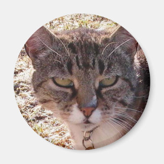 MOGGY MAGNEET