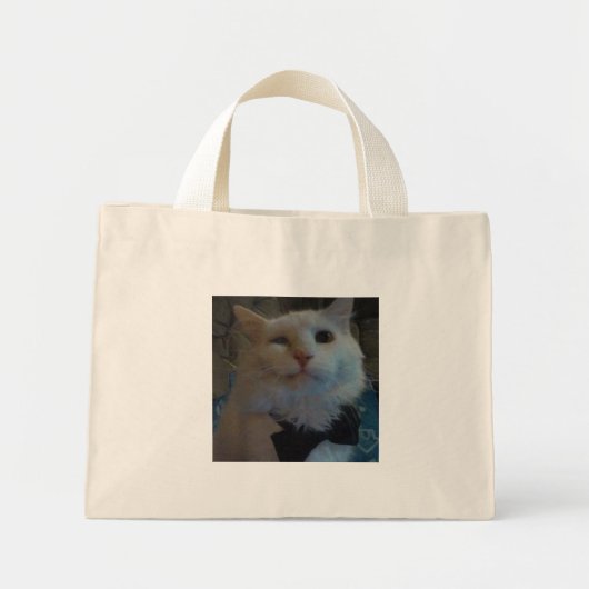 Moglie bow stropdas 2.jpg mini tote bag (Voorkant)
