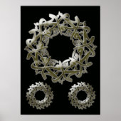 Mohammed (pbuh) Calligrafie... Poster (Voorkant)