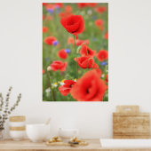 Mohn 2012 poster (Keuken)