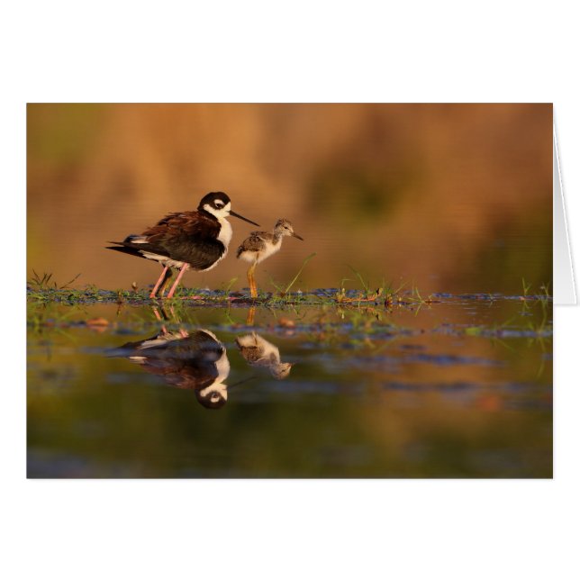 Moi et mon poussin (Devant Horizontal)