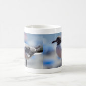 Moi, Une Mug De Café Mouette (Centre)