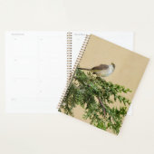 Moineau (Devant avec enveloppe)