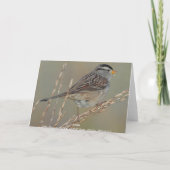 Moineau dans la carte de voeux de l'herbe 2 (Dos)