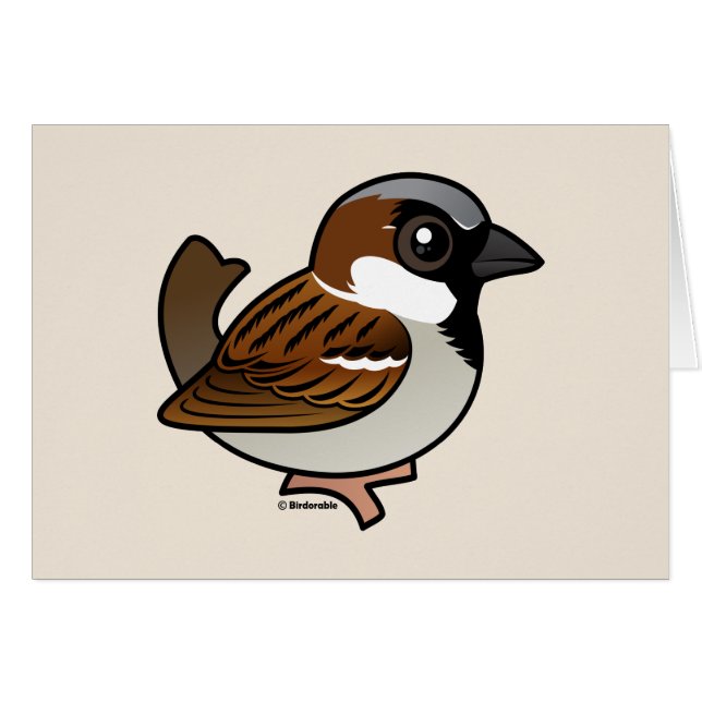Moineau de Chambre (Devant horizontal)