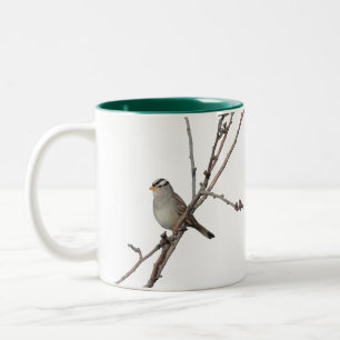 Moineau sur une tasse de branche
