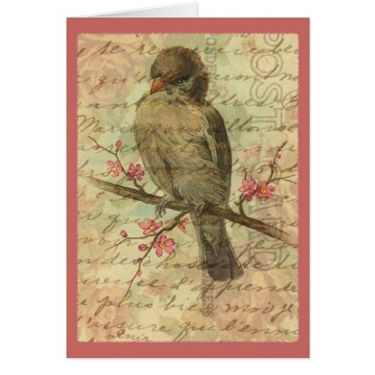 Moineau vintage (Devant)