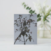 Moineaux dans un arbre avec fleurs d'automne carte (Debout devant)